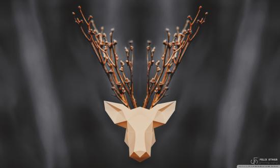 Chuyện một loài hoa 2