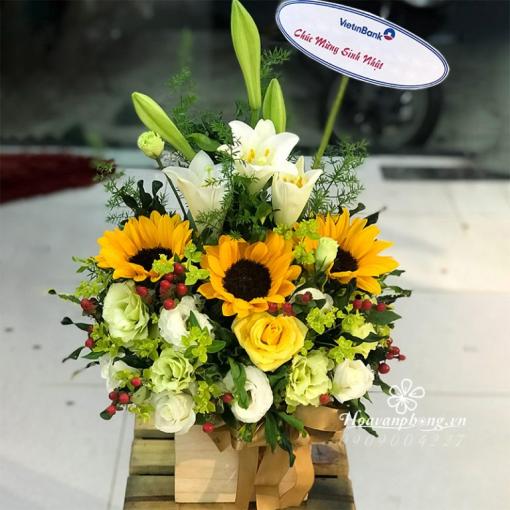 Hộp Hoa Tặng Ngày Khai Trương “Ánh Nắng Ban Mai”