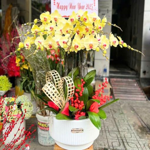 Chậu Lan Hồ Điệp Vàng 12 Cành Phú Quý