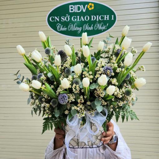 Hộp Hoa Tulip Trắng Tinh Khiết Chúc Mừng