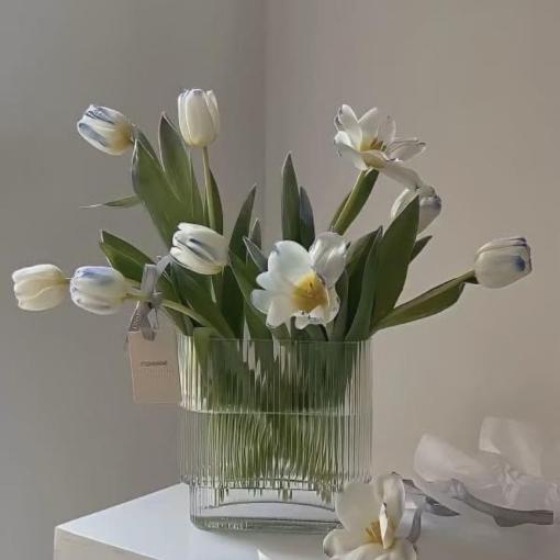 Bình Hoa Tulip Trắng Tinh Khiết