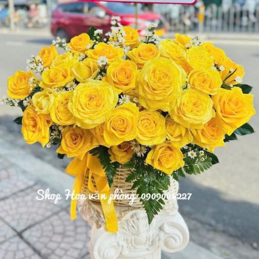 Giỏ Hoa Chúc Mừng Khai Trương An Vui