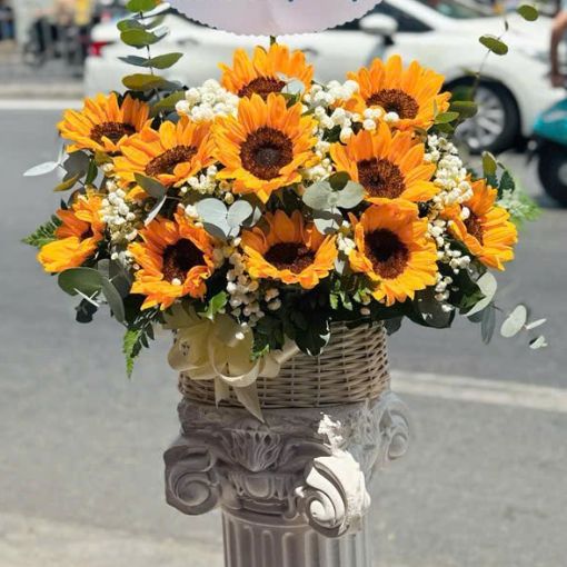 Giỏ Hoa Chúc Mừng Hướng Dương Rực Rỡ