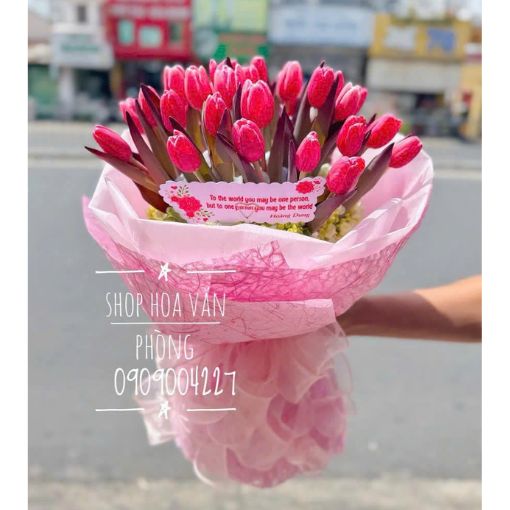 Bó Hoa Tulip Pink Whisper