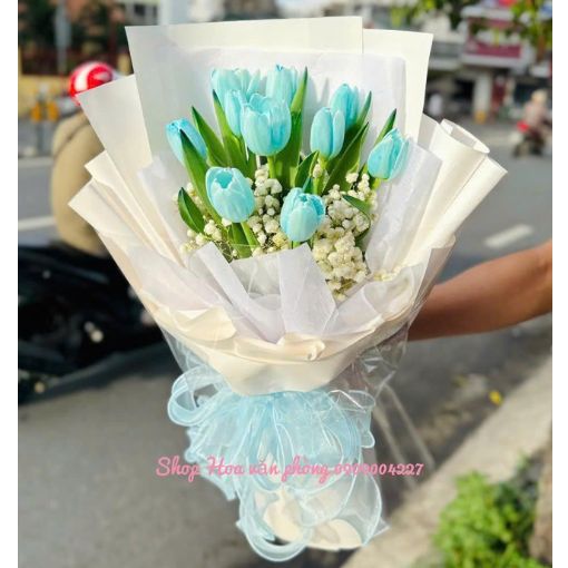 Bó Hoa Tulip Tuổi Xanh