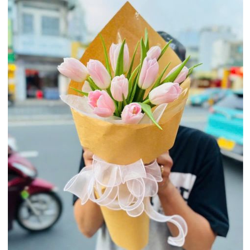 Bó Hoa Tulip Hồng Morning Blush