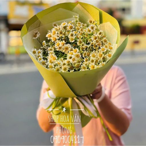 Bó Hoa Sinh Nhật Daisy Whisper