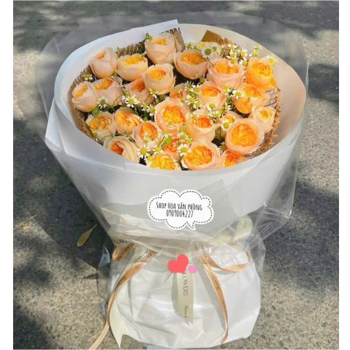 Bó Hoa Sinh Nhật Peach Daisy