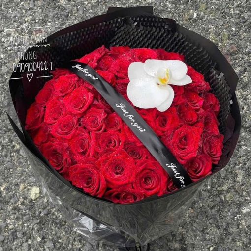 Bó Hoa Sinh Nhật Midnight Passion