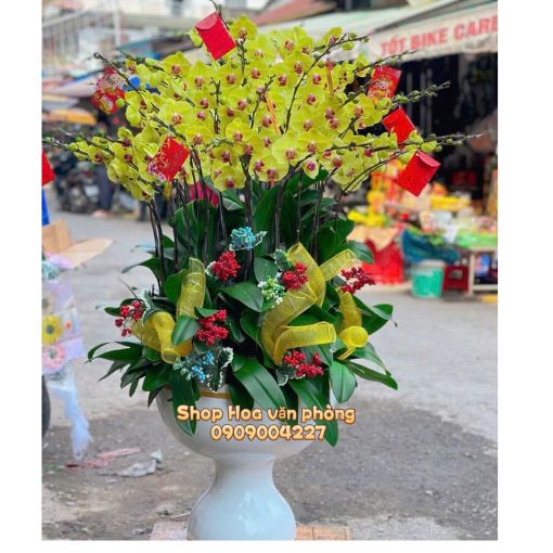 Chậu Lan Hồ Điệp 20 Cành Kim Phúc An Khang