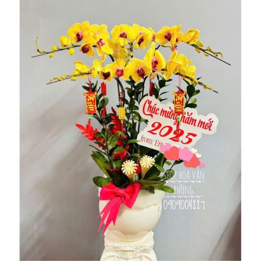Chậu Lan Hồ Điệp Hoàng Kim An Khang