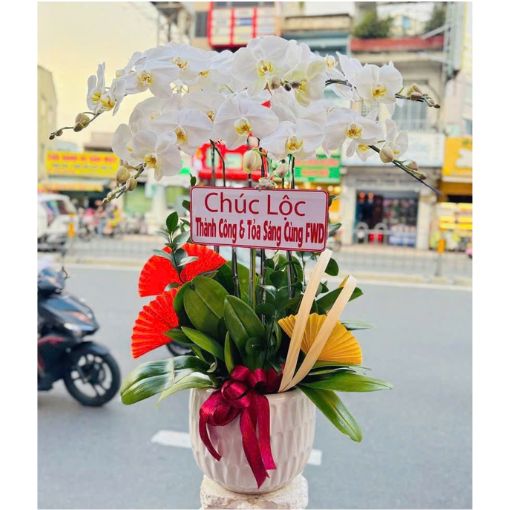 Chậu Lan Hồ Điệp 6 Cành Bạch Ngọc Cát Tường