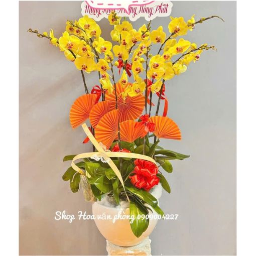 Chậu Lan Hồ Điệp 9 Cành Hoàng Phúc Cát Tường