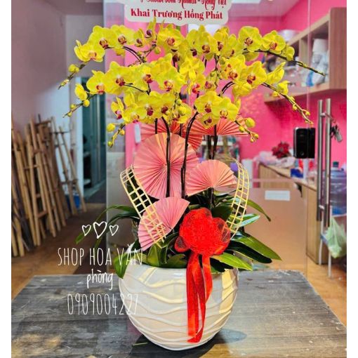 Chậu Lan Hồ Điệp 9 Cành Hoàng Kim Cát Thịnh
