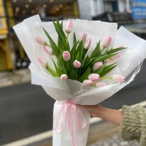 Bó Hoa Tulip 20 Cành Thanh Nhã