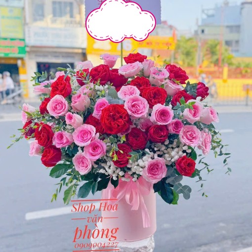 Hộp Hoa Khai Trương Kinh Doanh Phát Đạt