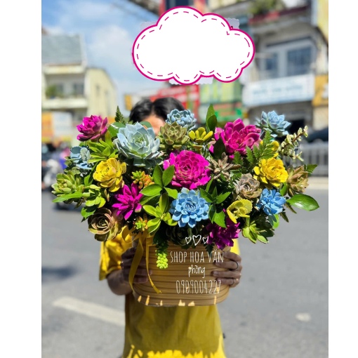 Hộp Hoa Khai Trương Sen Đá Đa Sắc