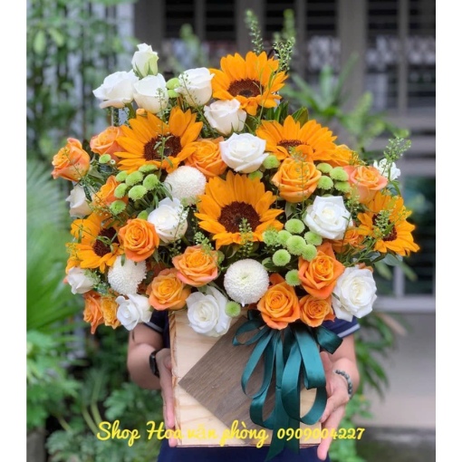 Hộp Hoa Khai Trương Hướng Dương Thành Công Vững Bền