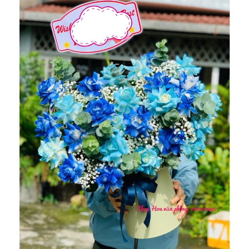 Hộp Hoa Khai Trương Vươn Tới Thành Công