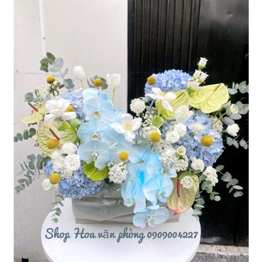Hộp Hoa Khai Trương Biểu Tượng Phát Triển