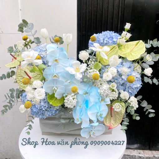 Hộp Hoa Tulip Xanh Dương Món Quà Sang Trọng