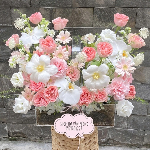 Hộp Hoa Tulip Vẻ Đẹp Tinh Khôi