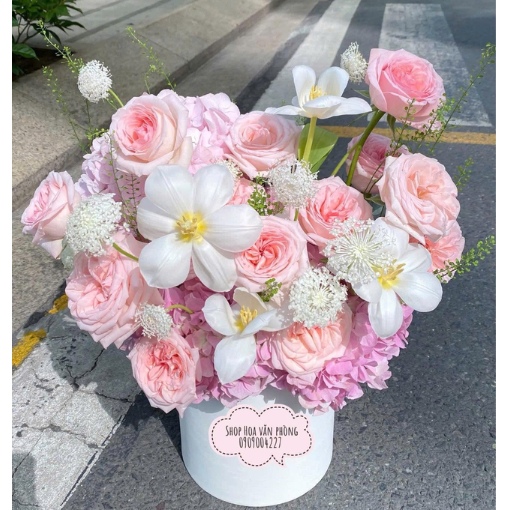 Hộp Hoa Tulip Gửi Trao Yêu Thương