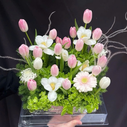 Hộp Hoa Tulip Hồng Khu Vườn Xuân