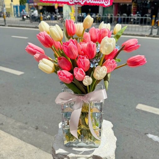 Bình Hoa Tulip Hồng Trắng Khởi Đầu Rực Rỡ