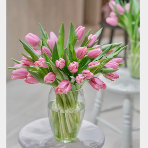 Bình Hoa Tulip Hồng Đáng Yêu