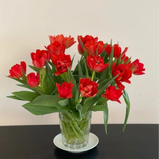 Bình Hoa Tulip Đỏ Kép Rực Rỡ