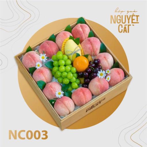 Hộp trái cây nguyệt cát H002 Test