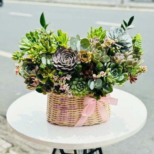 Giỏ Sen Đá Tặng Sinh Nhật An Nhiên