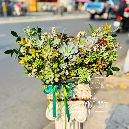 Giỏ Sen Đá Tặng Sinh Nhật Phúc Lộc