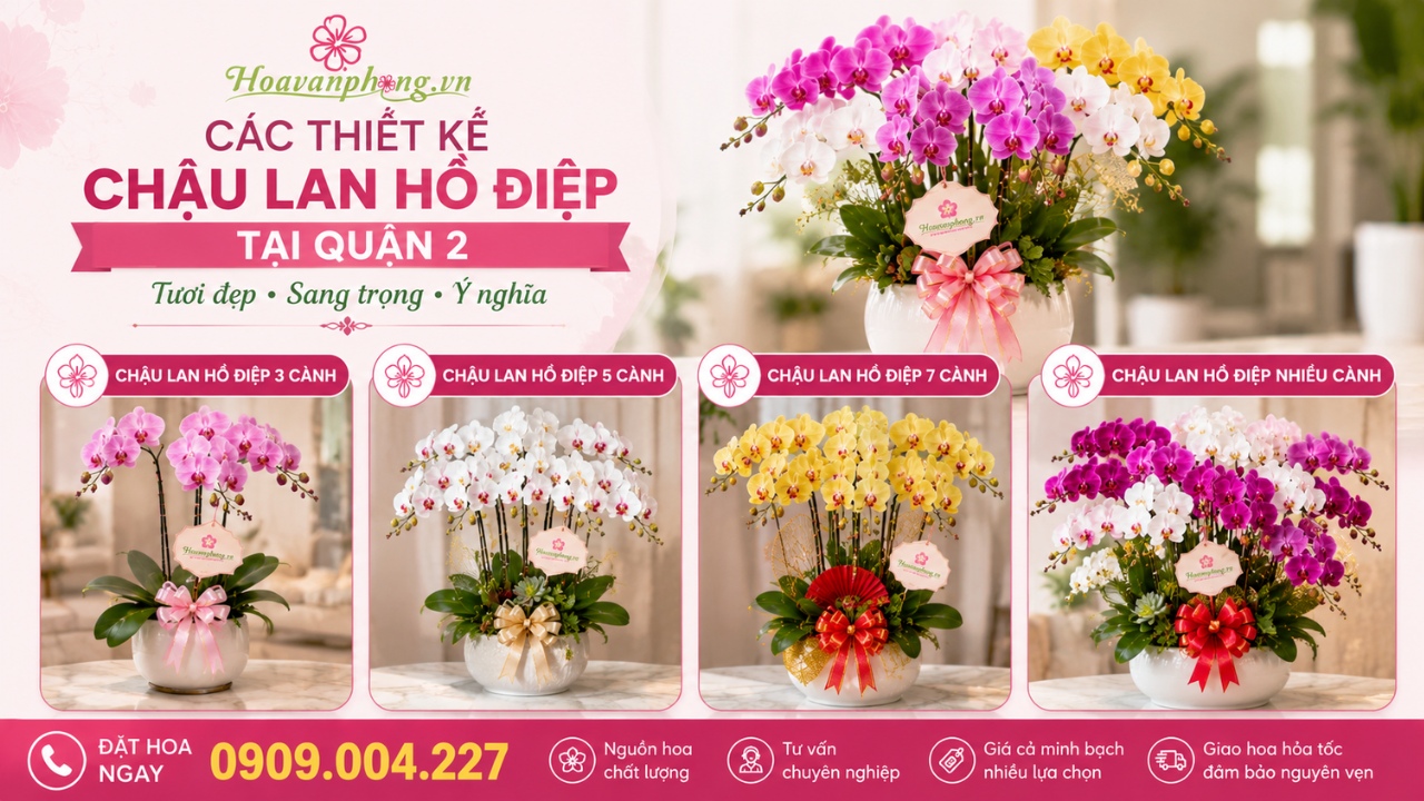 Mẫu lan hồ điệp đẹp tại quận 2