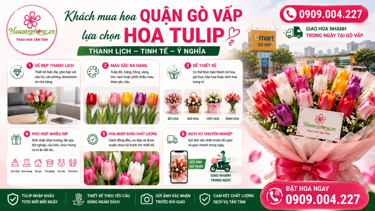 Chọn mua hoa tulip Quận Gò Vấp làm quà tặng