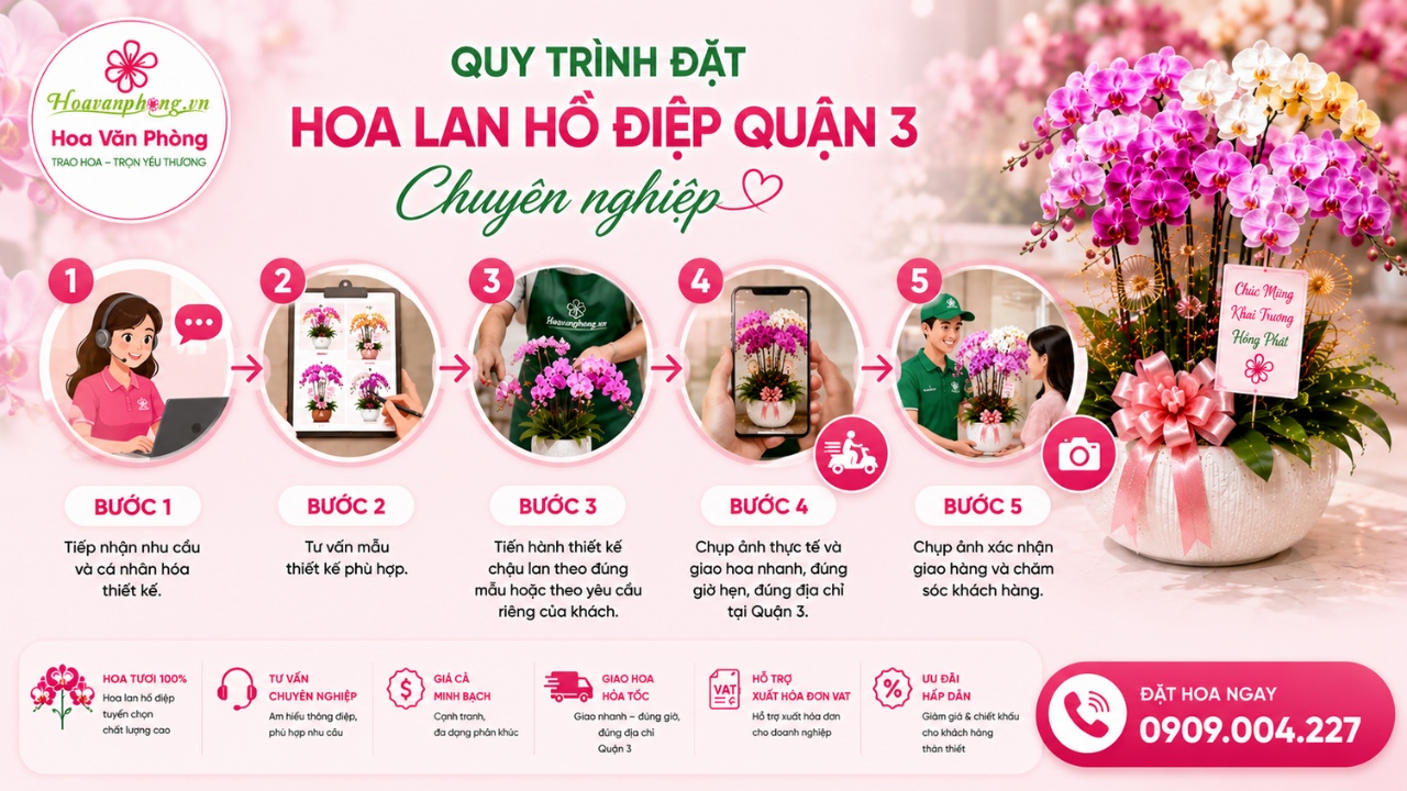 Quy trình đặt lan hồ điệp chuyên nghiệp