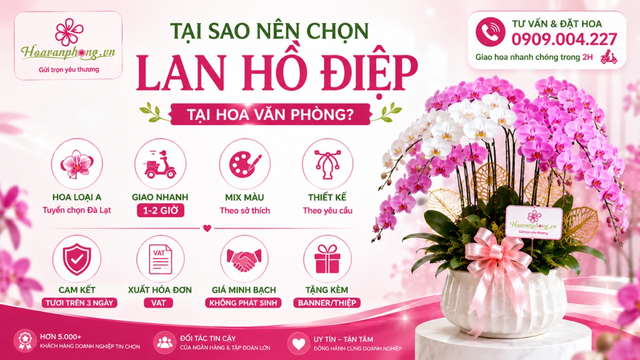 đăt hoa lan hồ điệp giao nhanh