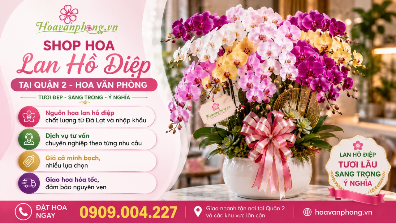Shop hoa lan hồ điệp quận 2