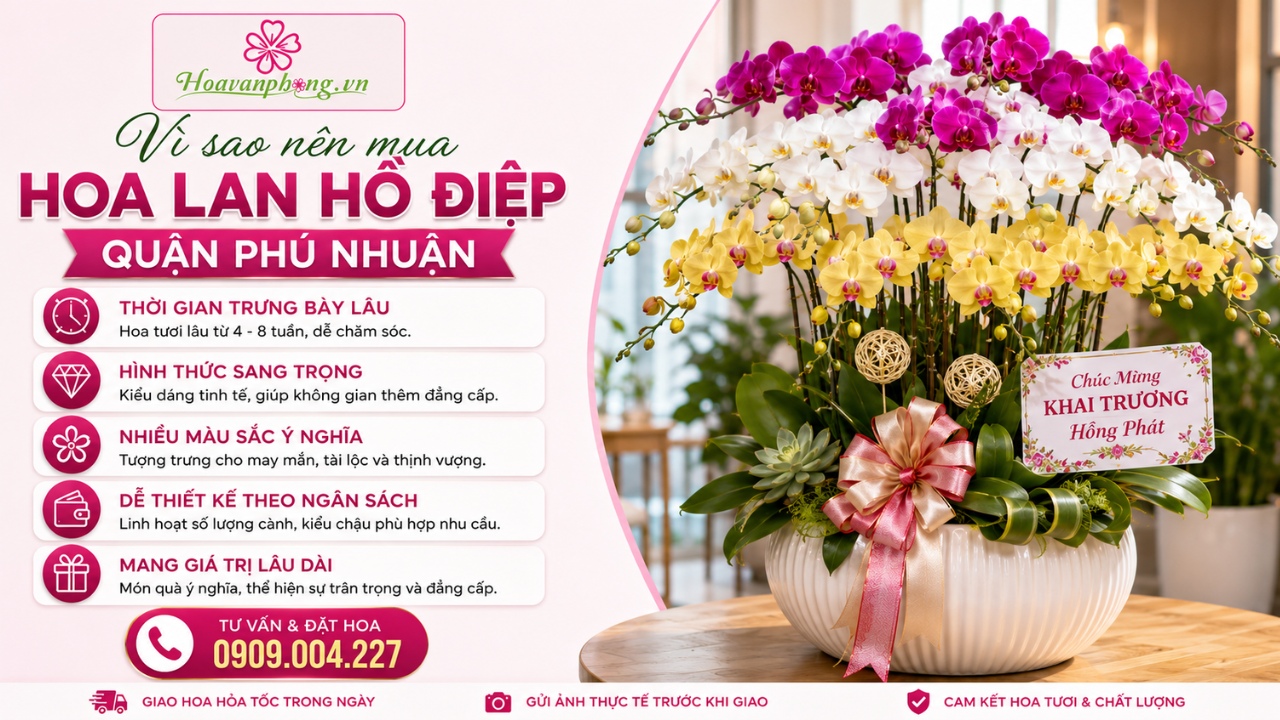 Shop hoa lan hồ điệp quận Phú Nhuận uy tín - Hoa Văn Phòng