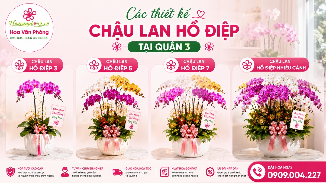 các mẫu lan hồ điệp ghép chậu đẹp