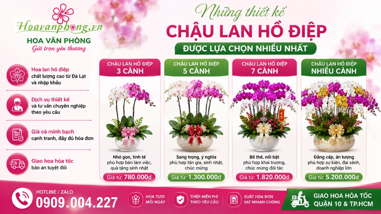 Những chậu lan hồ điệp đẹp ở quận 10 được thiết kế độc quyền tại Hoa Văn Phòng
