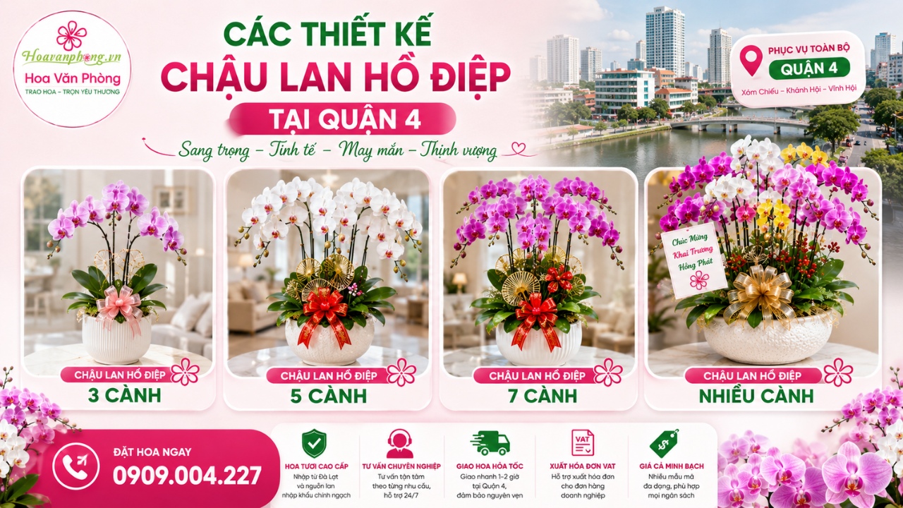 Mẫu lan hồ điệp đẹp tại quận 4