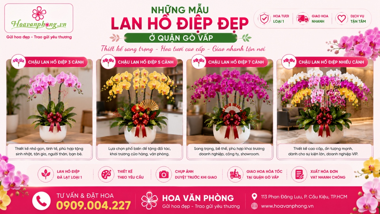Những mẫu lan hồ điệp đẹp ở quận Gò Vấp - Hoa Văn Phòng