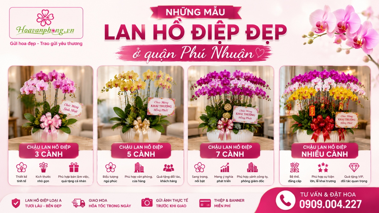 Lan hồ điệp đẹp ở quận Phú Nhuận được thiết kế tại Hoa Văn Phòng