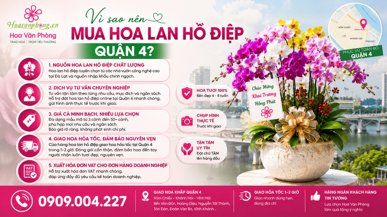 Shop hoa lan hồ điệp quận 4