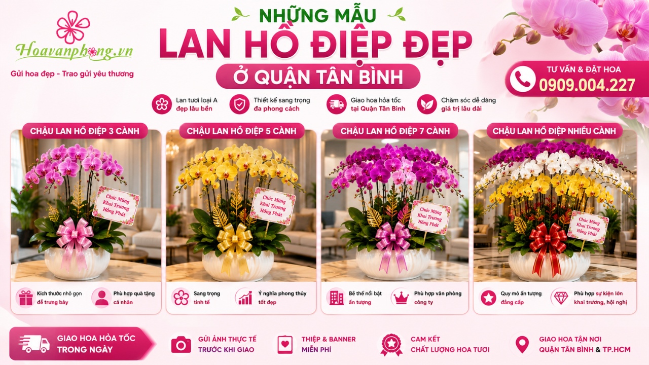 Những mẫu lan hồ điệp đẹp ở quận Tân Bình - Hoa Văn Phòng
