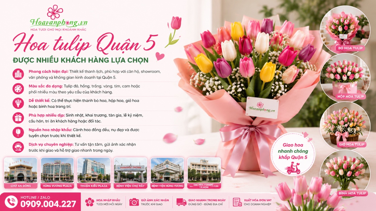 Hoa tulip Quận 5 làm quà tặng sang trọng