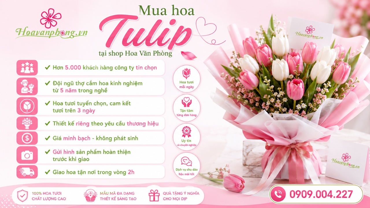 Hoa Văn Phòng cung cấp hoa Tulip nhập khẩu