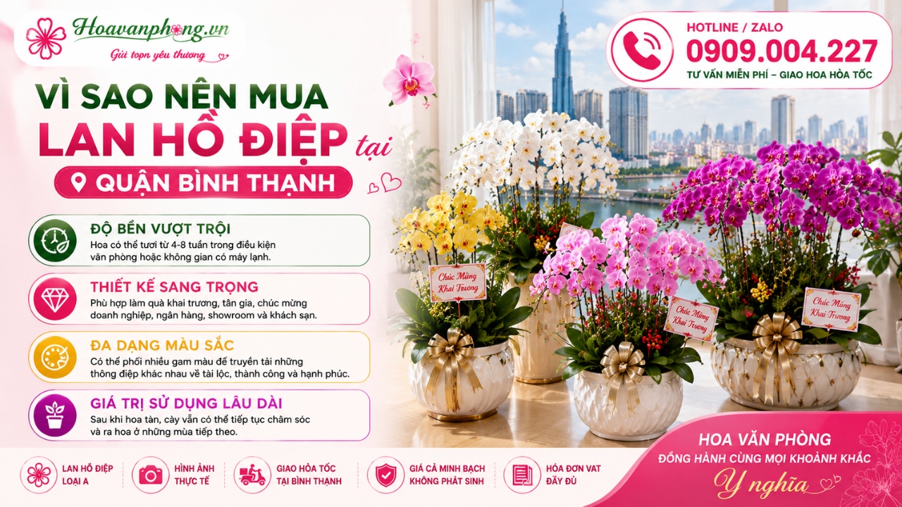 Lan Hồ Điệp quận Bình Thạnh